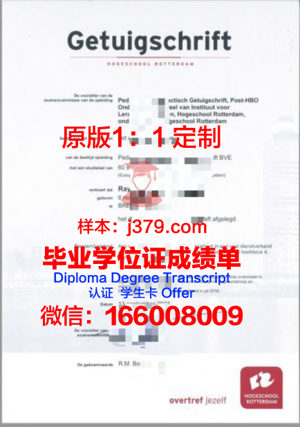 柏林商学院成绩单：揭开国际化商学院的神秘面纱