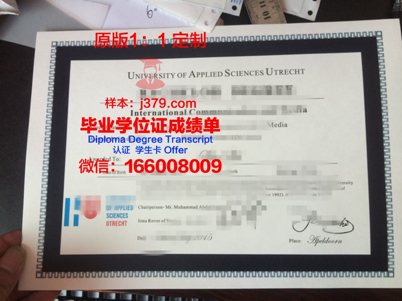 纽伦堡应用技术大学硕士毕业证书样本(纽伦堡应用科学大学)
