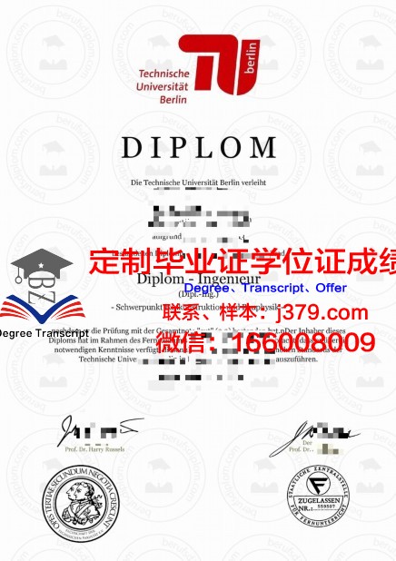 柏林工业大学文凭(柏林工业大学毕业到国内收入多少)