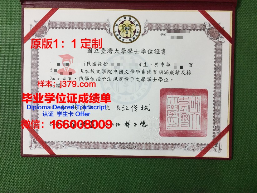 波尔多国立高等电子信息与无线电通讯学院毕业证书