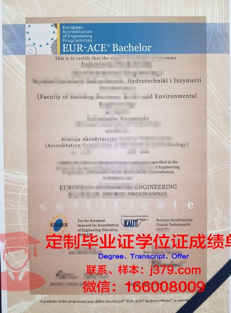 科特布斯勃兰登堡工业大学diploma证书(科特布斯勃兰登堡工业大学官网)