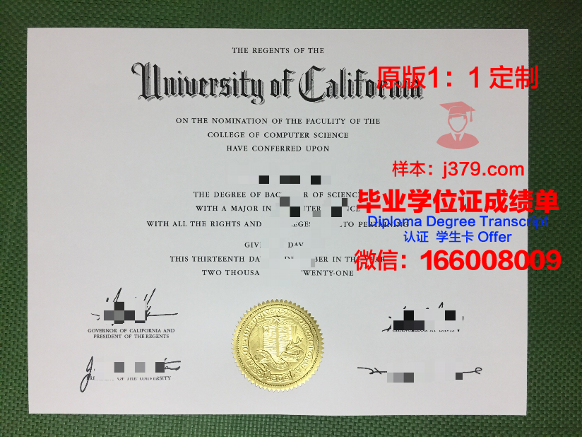 波恩大硕士毕业证：跨越时空的学术荣耀