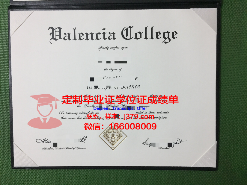 瓦伦西亚大学毕业证模板(瓦伦西亚留学)