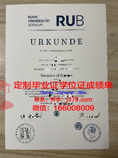 波鸿博士学位证：一份跨越时空的学术荣耀