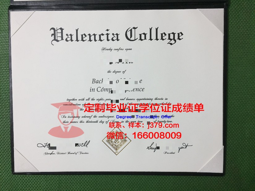 瓦伦西亚大学毕业证模板(瓦伦西亚留学)