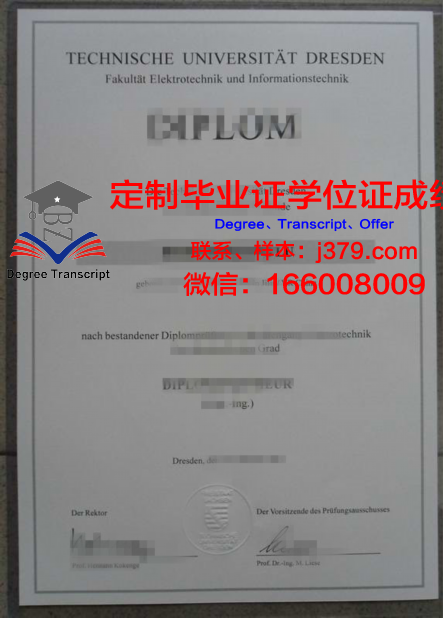 科特布斯勃兰登堡工业大学diploma证书(科特布斯勃兰登堡工业大学官网)