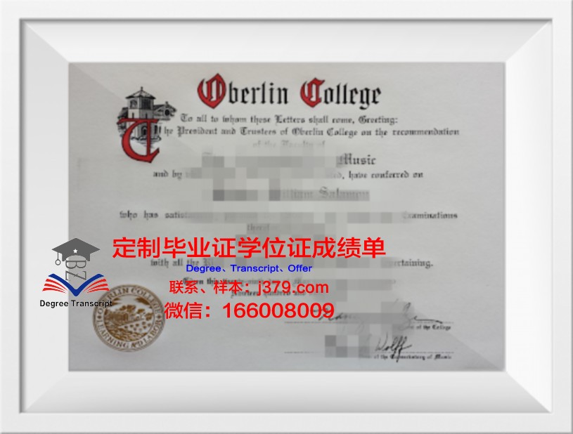 柏林媒体通信与经济应用技术大学毕业证壳子(柏林通讯与设计应用技术大学)