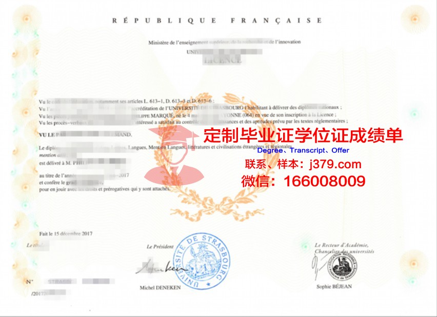 斯特拉斯堡管理学院学位证书高清图片