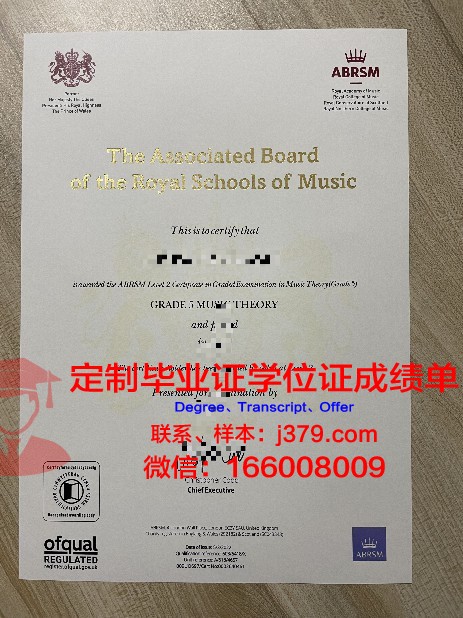 STL高级学者资格证书