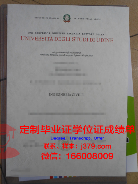 乌迪内美术学院学位证书高清图片
