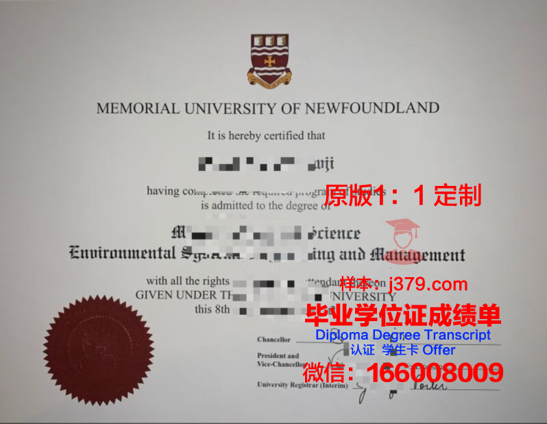 纽芬兰纪念大学文凭外壳