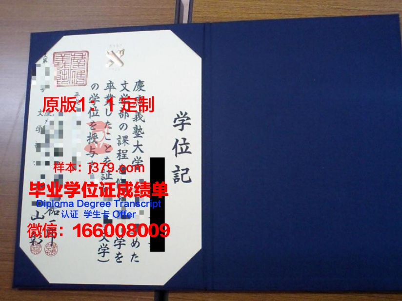 UMBoston学位证书样式