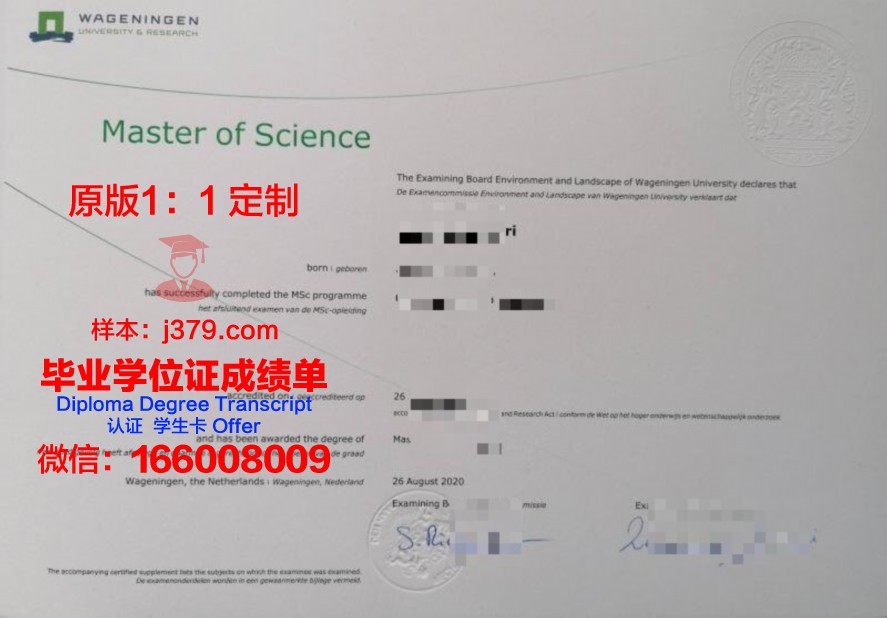 毕业证补办攻略:高电院学子必看