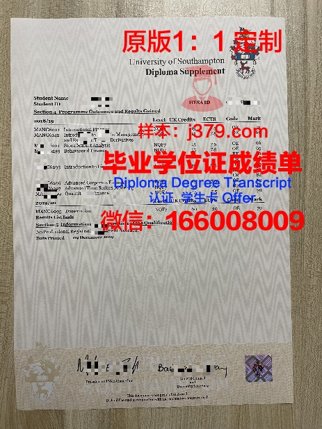 全面解析:卑大成绩单中的隐藏信息