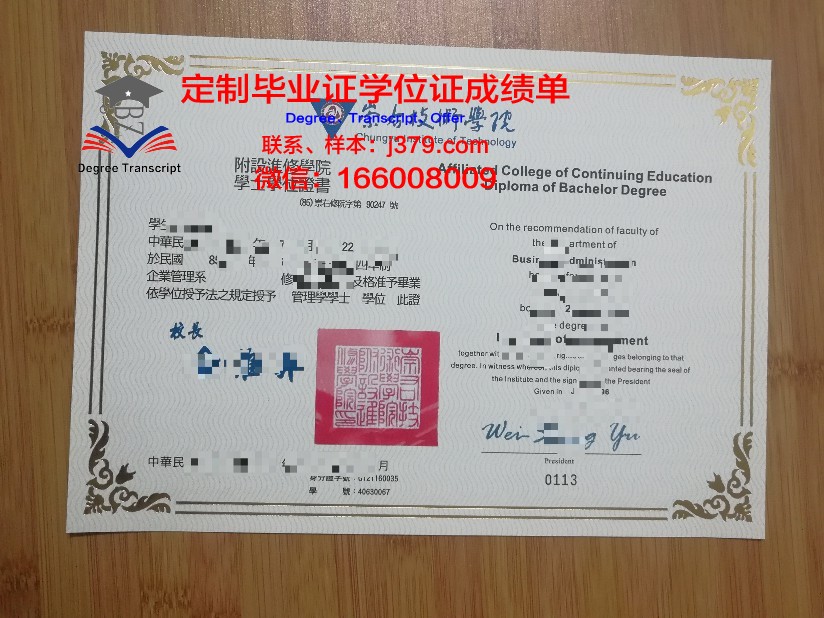 弗罗茨瓦夫美术学院学位证书设计范例
