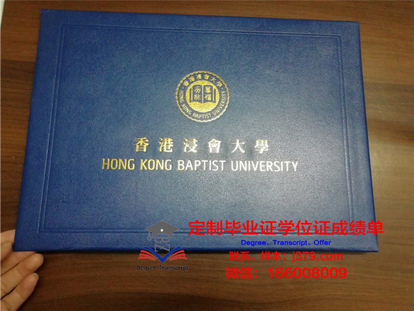 印度理坎普毕业证壳子:市场供需分析