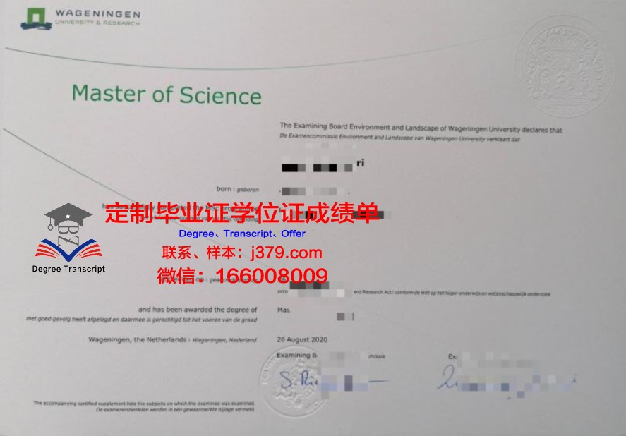 文科大毕业证电子版实用操作教程