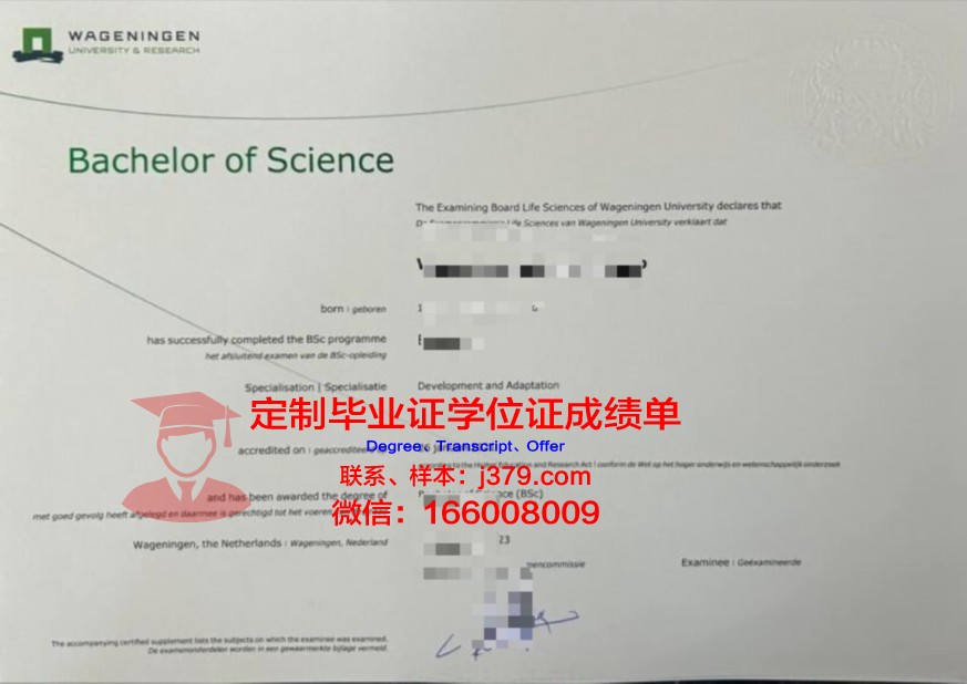 RenTech本科毕业证书