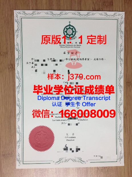塔理工毕业证补办流程:从申请到领取全攻略