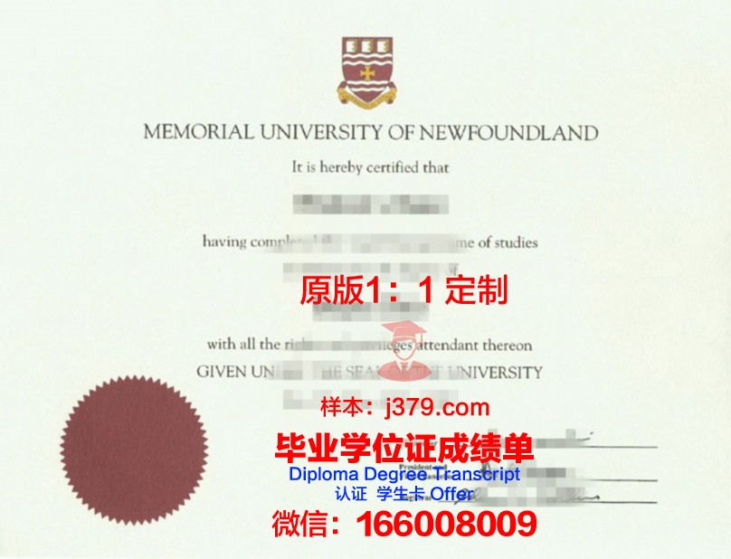 纽芬兰纪念大学文凭外壳