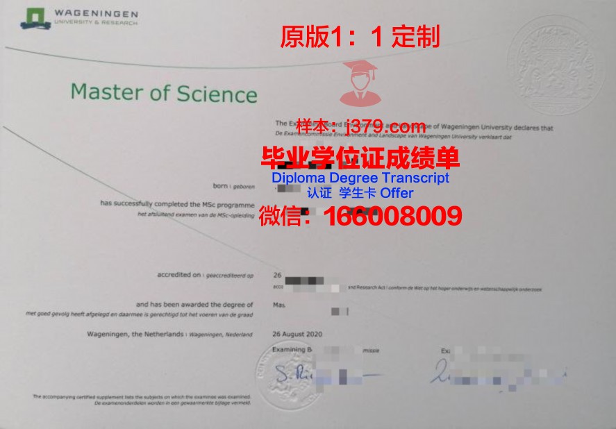 佩大学本科毕业证遗失补办指南