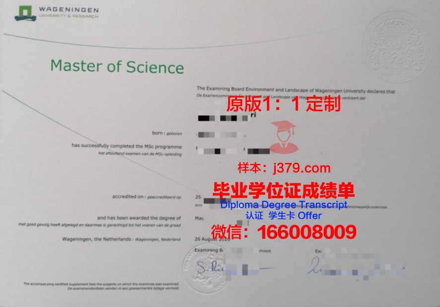 因大毕业证电子版安全防护措施