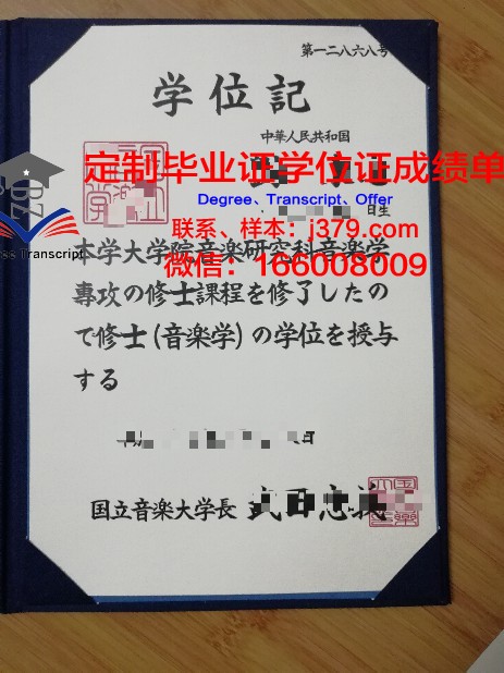 喀山国立文化学院毕业证书设计展示
