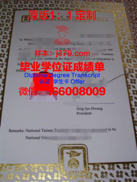 玛工本科证书:提升个人综合素质的捷径