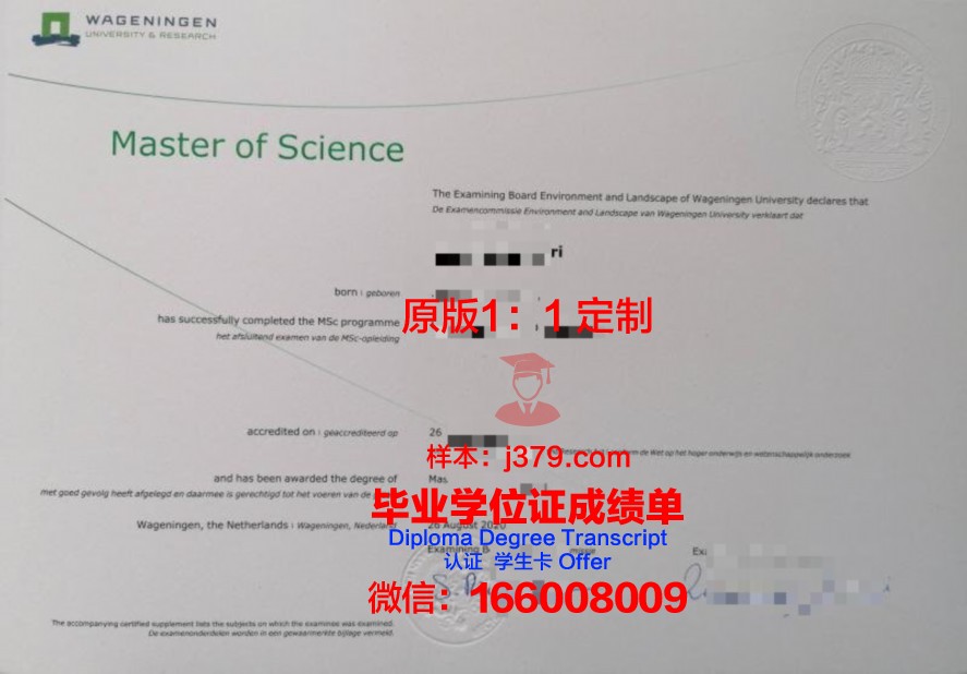 武大硕士毕业证电子版下载与打印指南