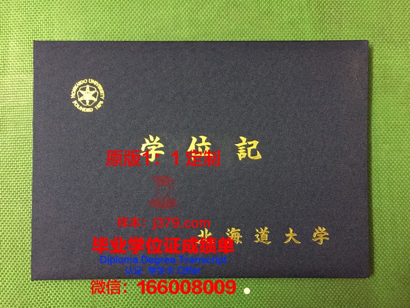 北海道大学毕业证书外壳
