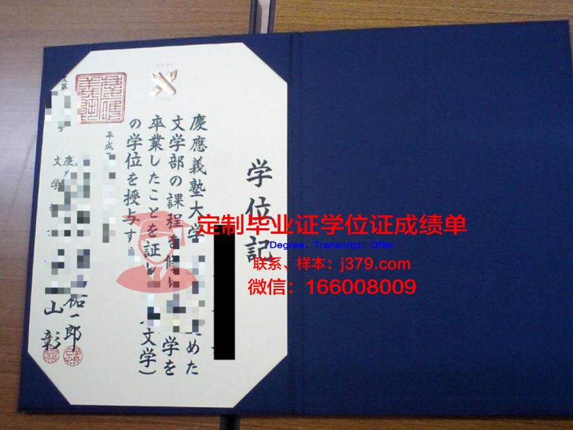 SF学位证书外套