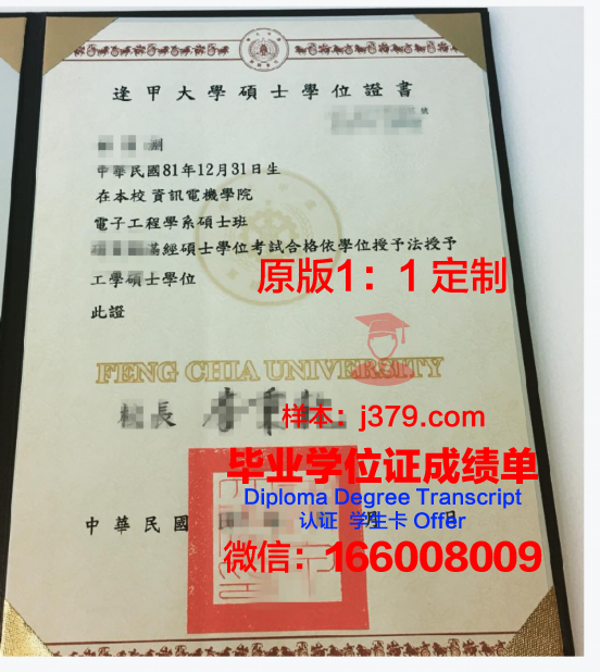 因斯布鲁克大学学位证书图片下载
