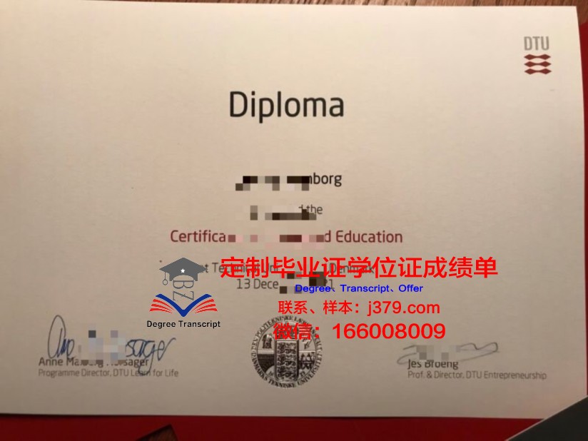 南丹麦硕士证书专业选择攻略