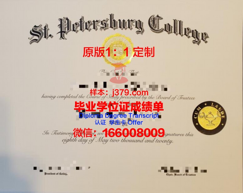 圣彼得堡国立儿科医科大学学历证书样本展示