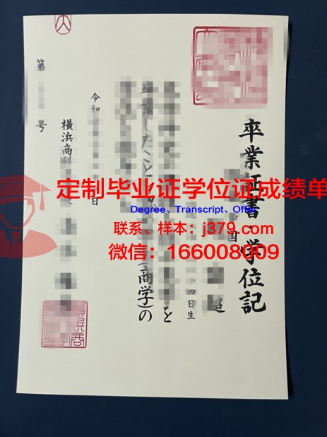 桐荫横滨大学毕业证：承载荣誉与梦想的纸笔传奇