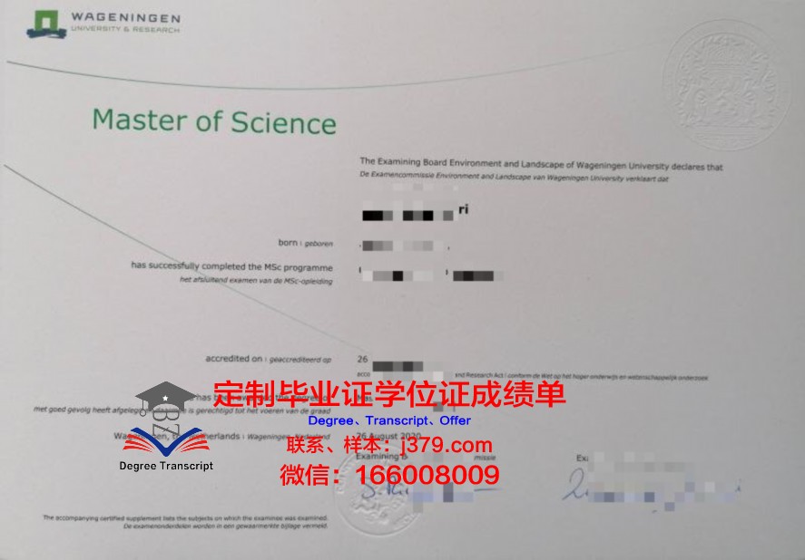 维工毕业证文凭