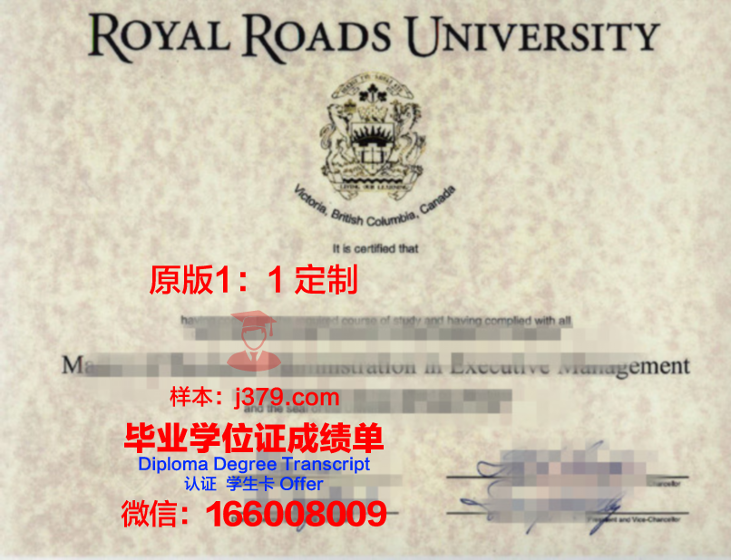 SF学位证书外套