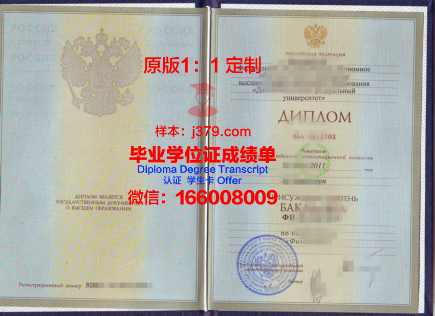 俄罗斯友谊荣誉文凭