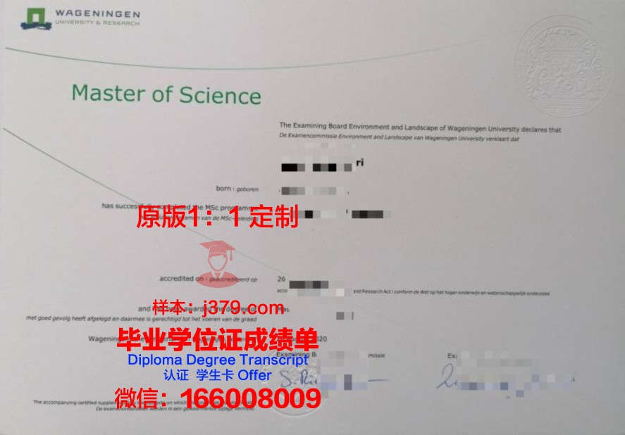 白国大毕业证:毕业生职业发展路径解析