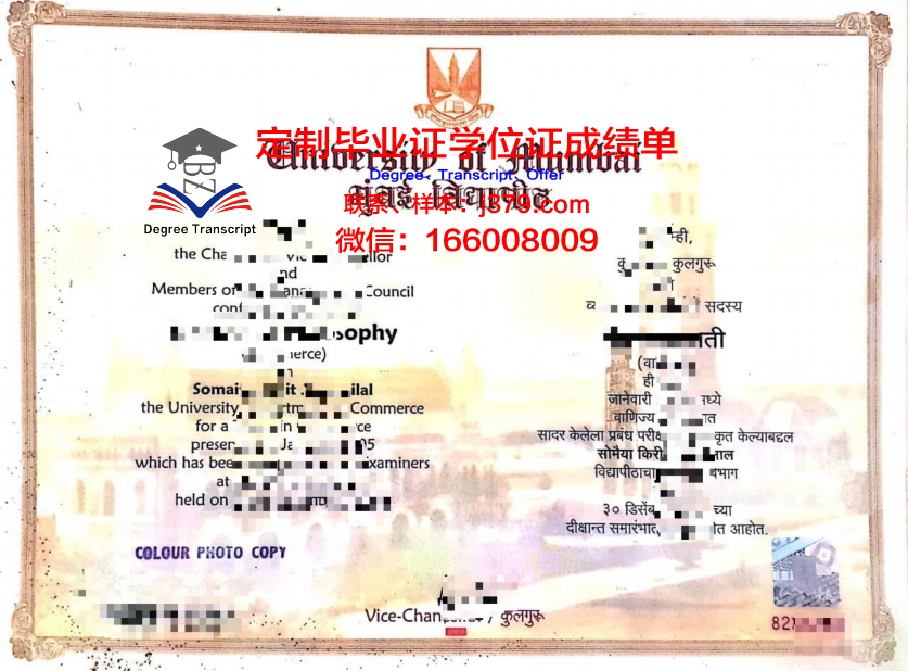 孟买大学研究生证书项目:优势与特色