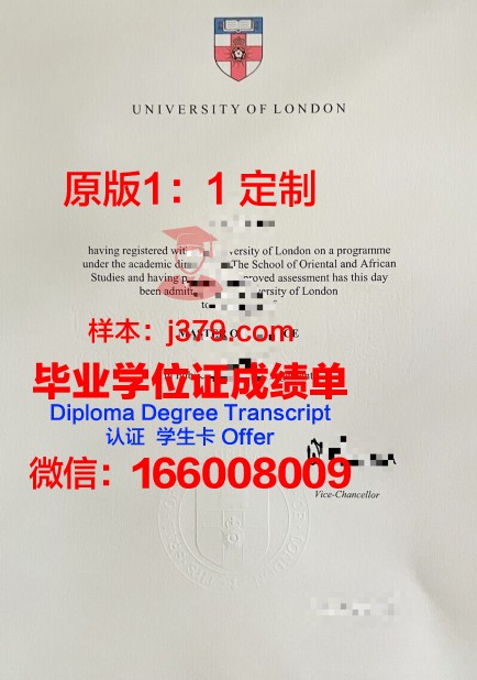 伦大亚非硕士毕业证:专业课程设置与特色