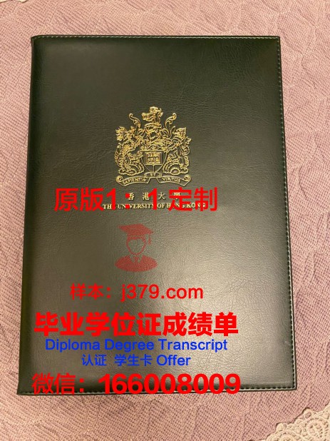 萨德尔巴克学院毕业证书外壳