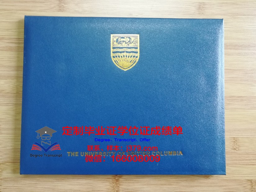 印度理坎普毕业证壳子:市场供需分析