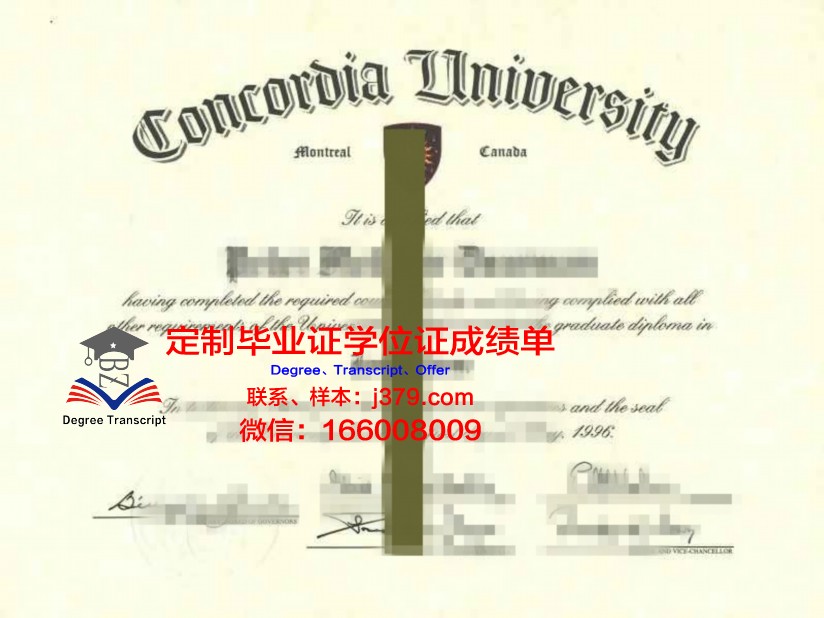 那亚大本科证书:课程设置与专业方向解析