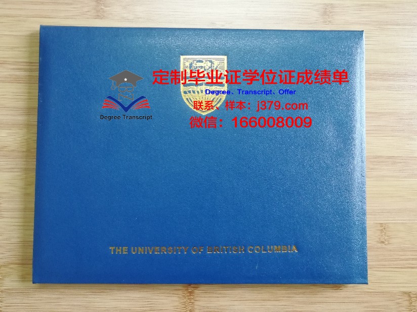 均大毕业证壳子：毕业典礼上的闪耀明星