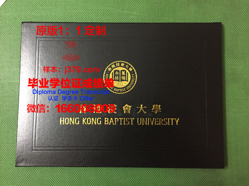 萨德尔巴克学院毕业证书外壳