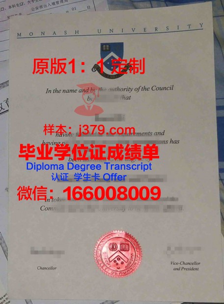 喀尔巴阡大学文凭保护套