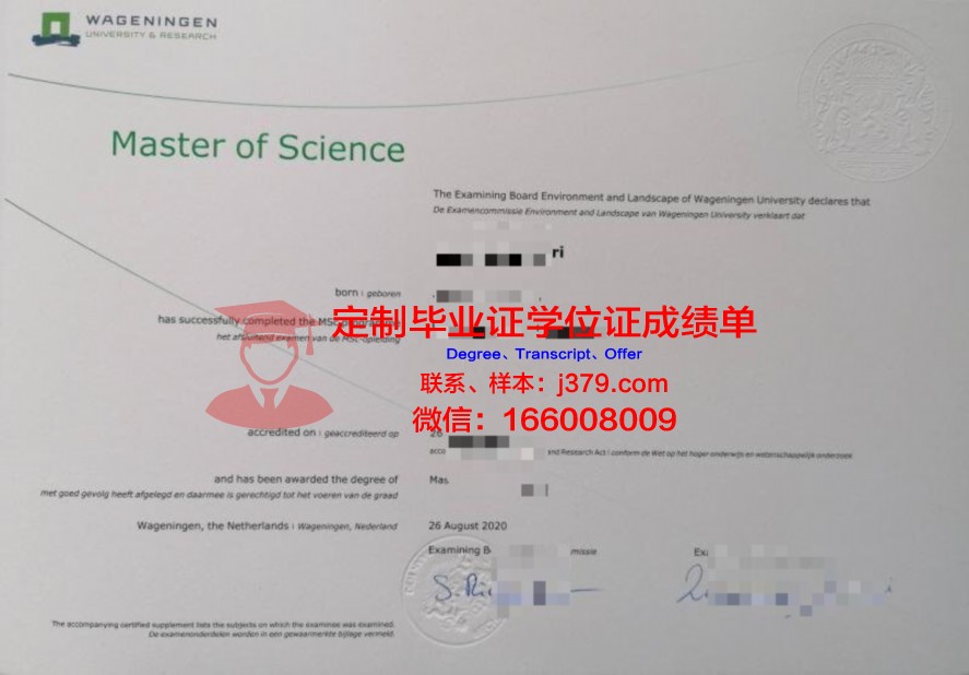 哈理工毕业证与同等学历证书的对比分析