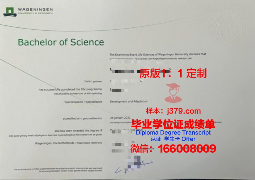 玛工本科证书:提升个人综合素质的捷径