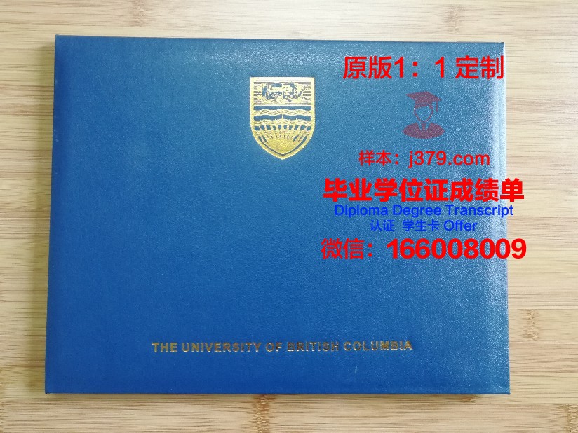 斯学院毕业证壳子:见证学子成就的荣耀象征